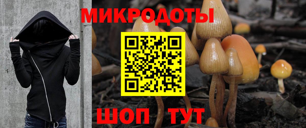 Псилоцибиновые грибы Magic Shrooms Светлоград