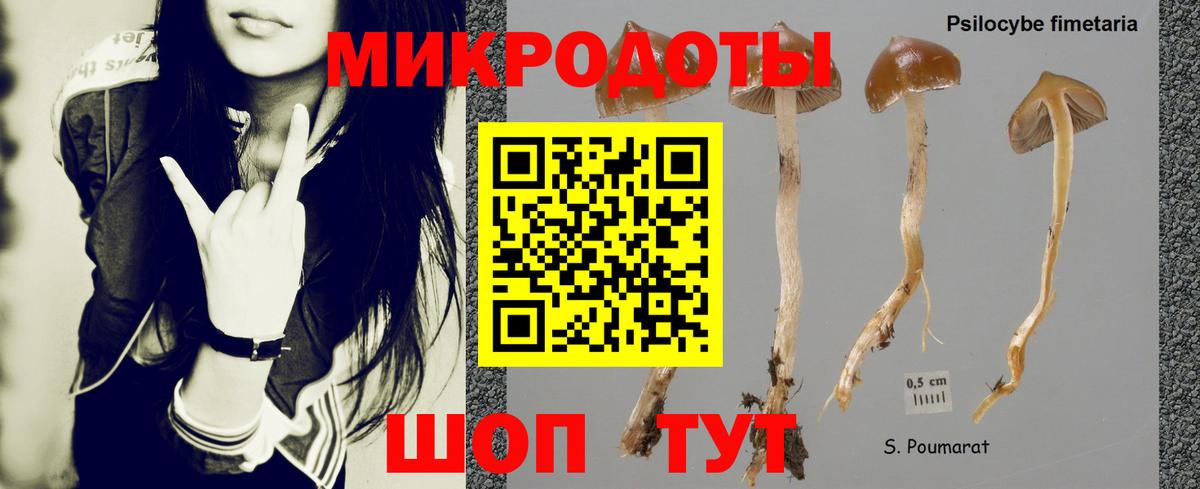Светлоград  Псилоцибиновые грибы Cubensis  Вход с VPN 