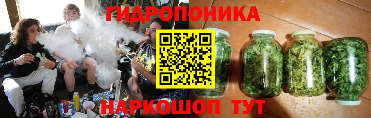 Канабис гибрид Светлоград
